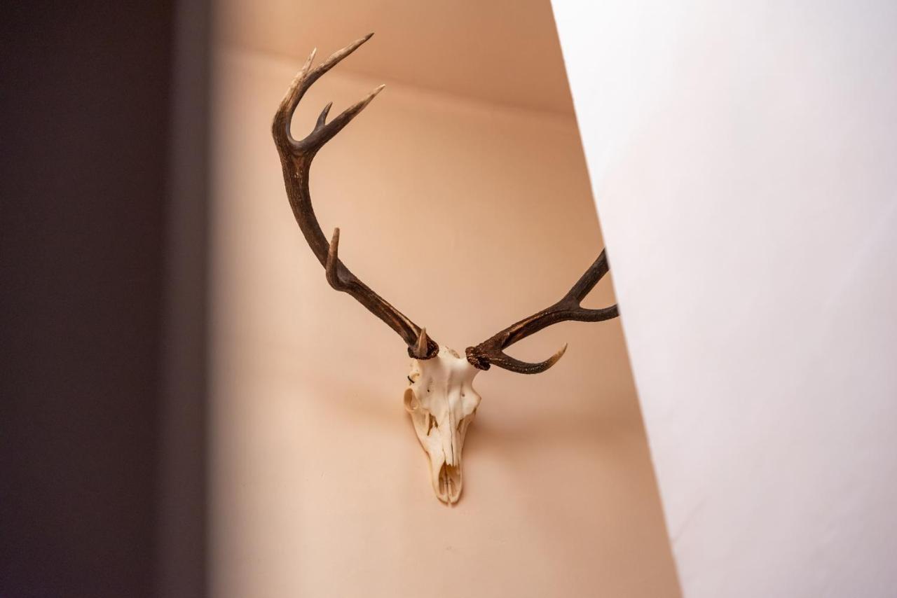 Hotel Le Cor De Chasse Saint-Hubert Zewnętrze zdjęcie